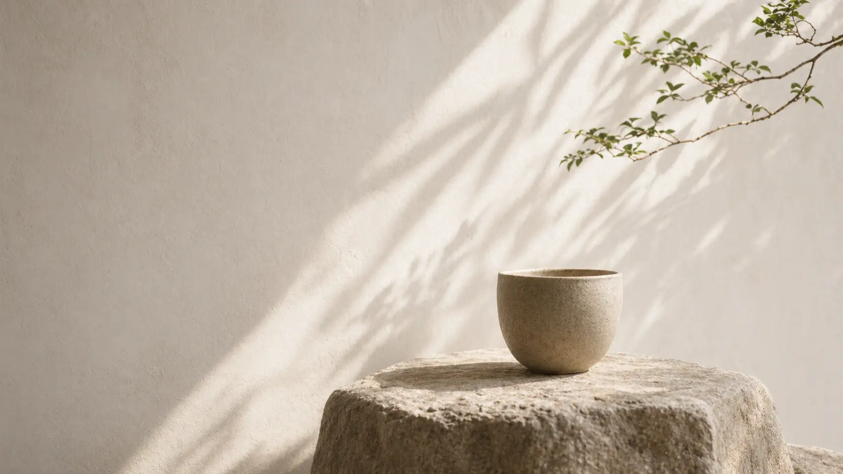Ceramic bowl on stone with a quiet green branch